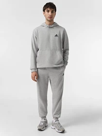 Худи и свитшоты Adidas ESSENTIALS модель H12213 Фото