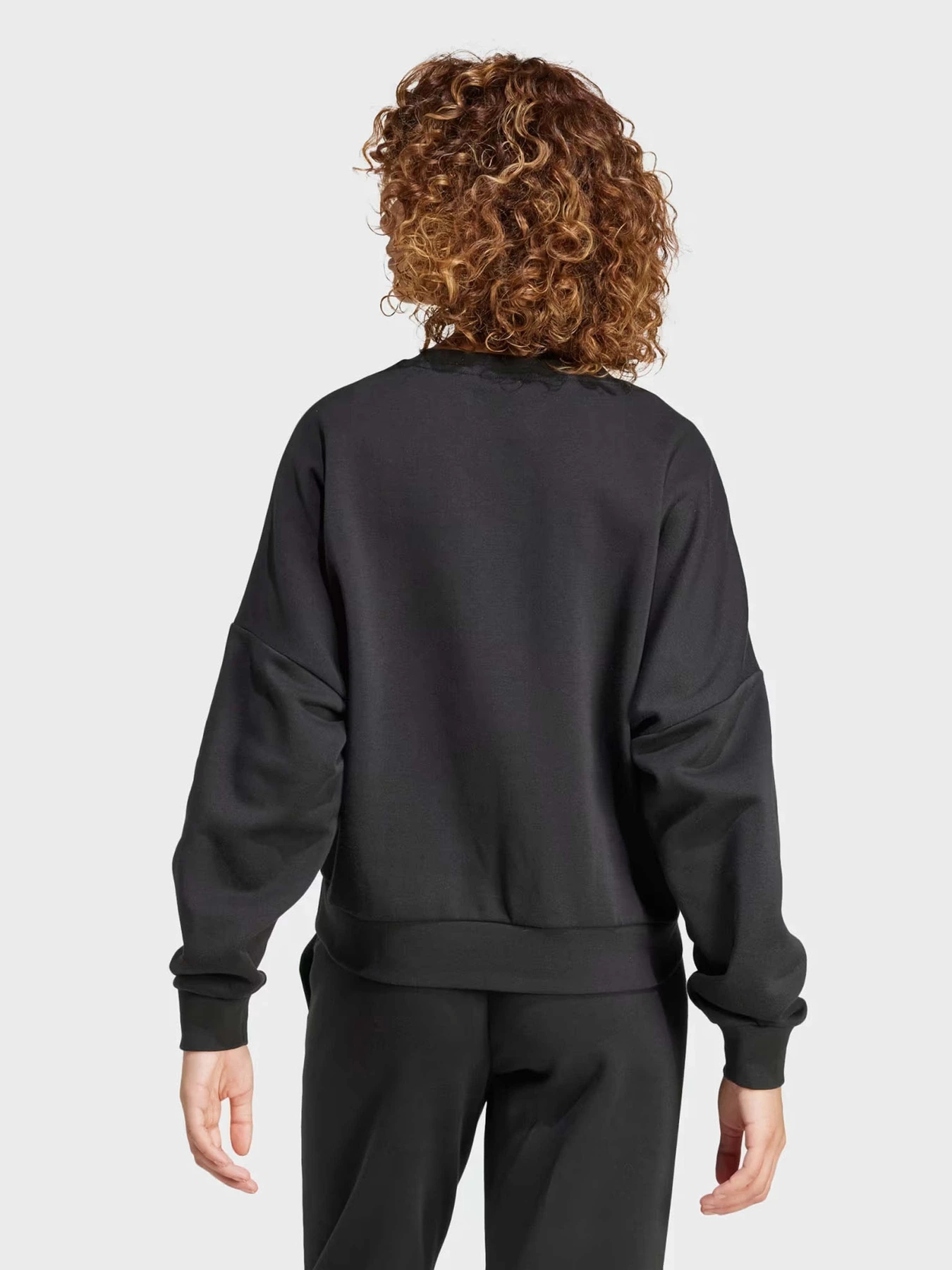 Худи и свитшоты Adidas ESSENTIALS SMALL LOGO FEEL COZ модель IX7940 Фото