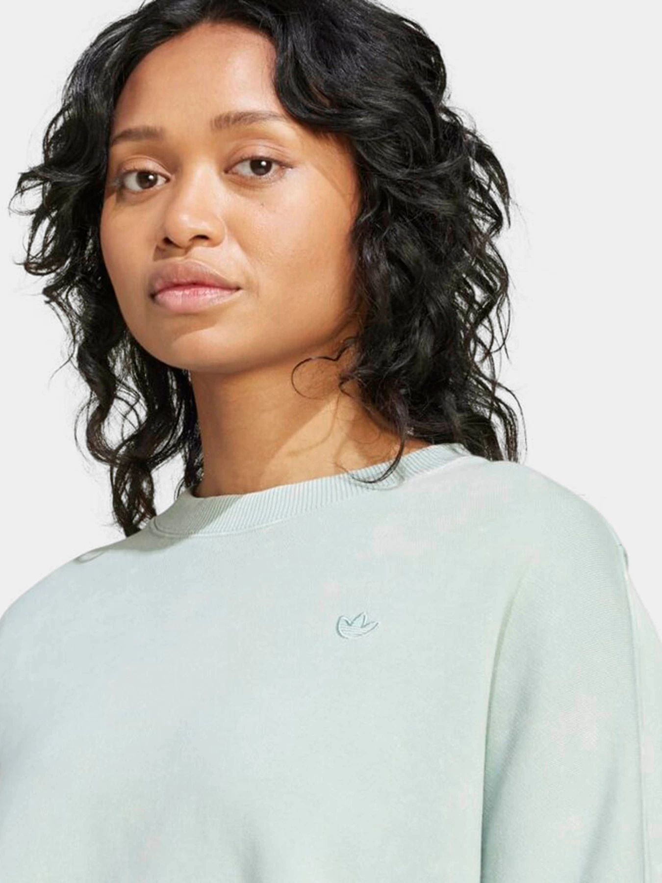 Худи и свитшоты Adidas PREMIUM ESSENTIALS WASHED OVER модель IY7396 Худи и свитшоты Adidas PREMIUM ESSENTIALS WASHED OVER модель IY7396 Фото