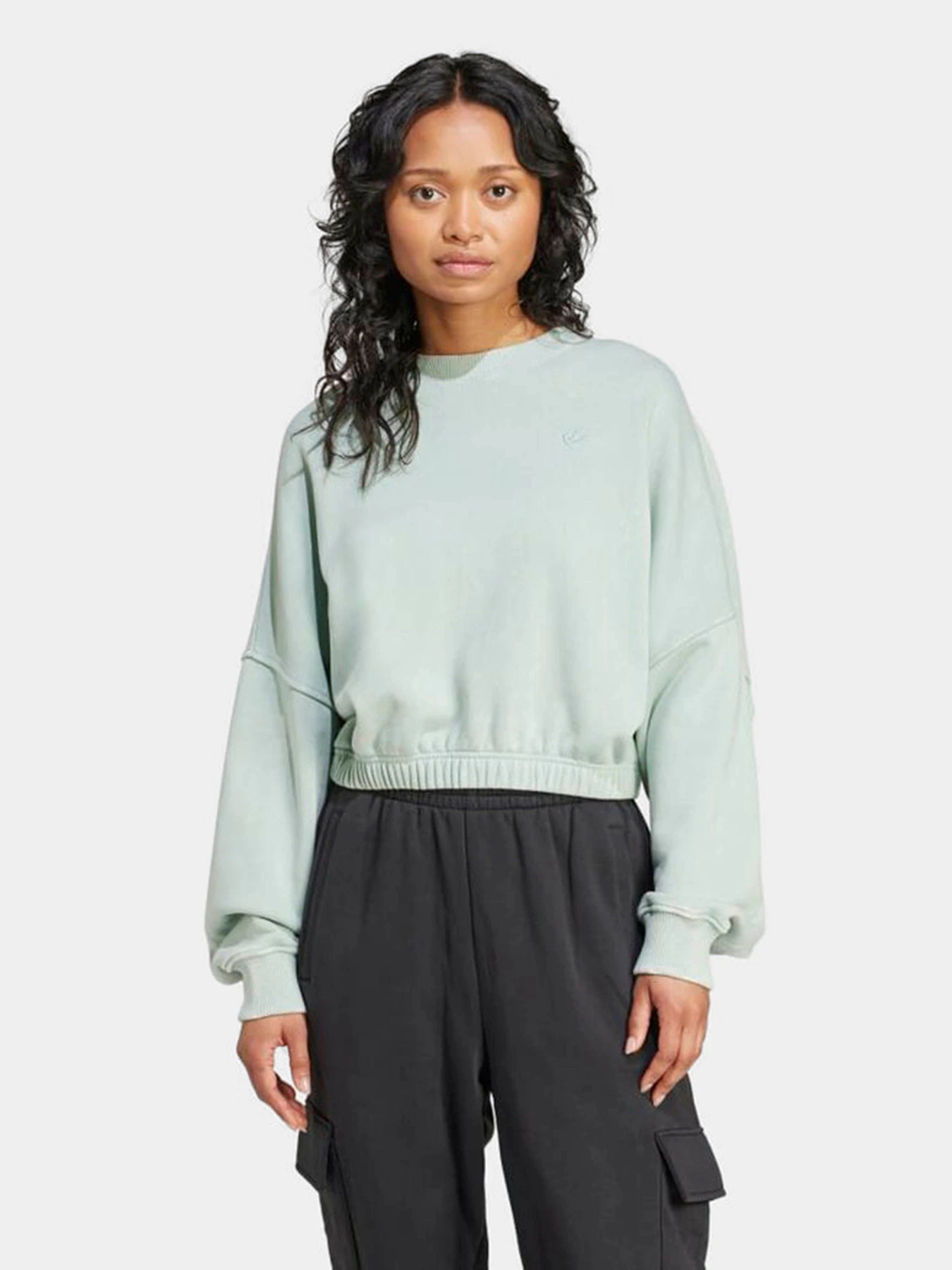 Худи и свитшоты Adidas PREMIUM ESSENTIALS WASHED OVER модель IY7396 Худи и свитшоты Adidas PREMIUM ESSENTIALS WASHED OVER модель IY7396 Фото
