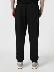 Брюки Adidas ESSENTIALS REGULAR модель HL2236 Фото
