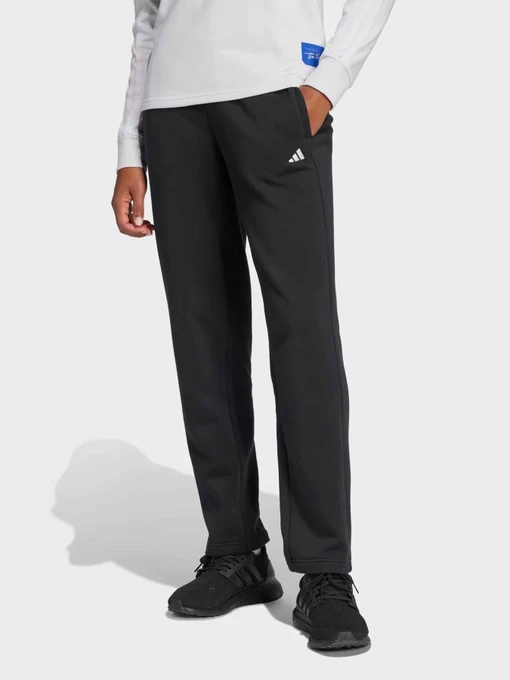 Штани Adidas ESSENTIALS SMALL LOGO модель IW0221 Фото
