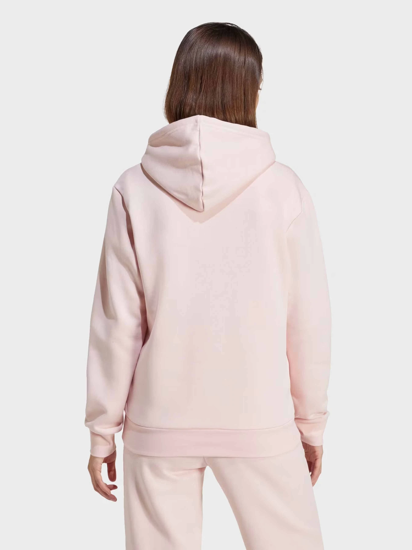 Худи и свитшоты Adidas ESSENTIALS SMALL LOGO модель IY1649 Фото