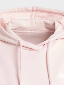 Худи и свитшоты Adidas ESSENTIALS SMALL LOGO модель IY1649 Фото