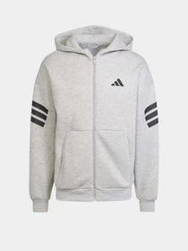 Худи и свитшоты Adidas FUTURE ICONS 3-STRIPES SPORTSW модель JD4828 Фото