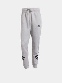 Штани Adidas FUTURE ICONS SPORTSWEAR модель JD4867 Фото