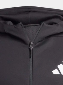 Худи и свитшоты Adidas Z.N.E. FULL-ZIP SPORTSWEAR модель JD5984 Фото