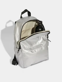 Рюкзаки Adidas GLOW 10 L модель JN0926 Фото
