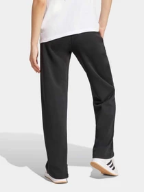 Штани Adidas ESSENTIALS SMALL LOGO модель JC5921 Фото