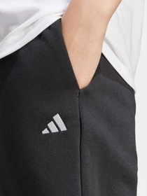 Штани Adidas ESSENTIALS SMALL LOGO модель JC5921 Фото