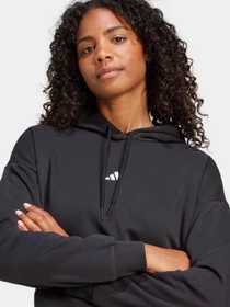 Худі та світшоти Adidas ESSENTIALS SMALL LOGO модель JN1861 Фото