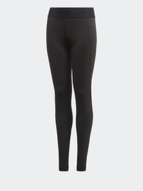 Брюки Adidas Alphaskin Performance модель FM5850 Фото