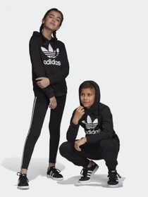 Худи и свитшоты Adidas Trefoil модель DV2870 Фото