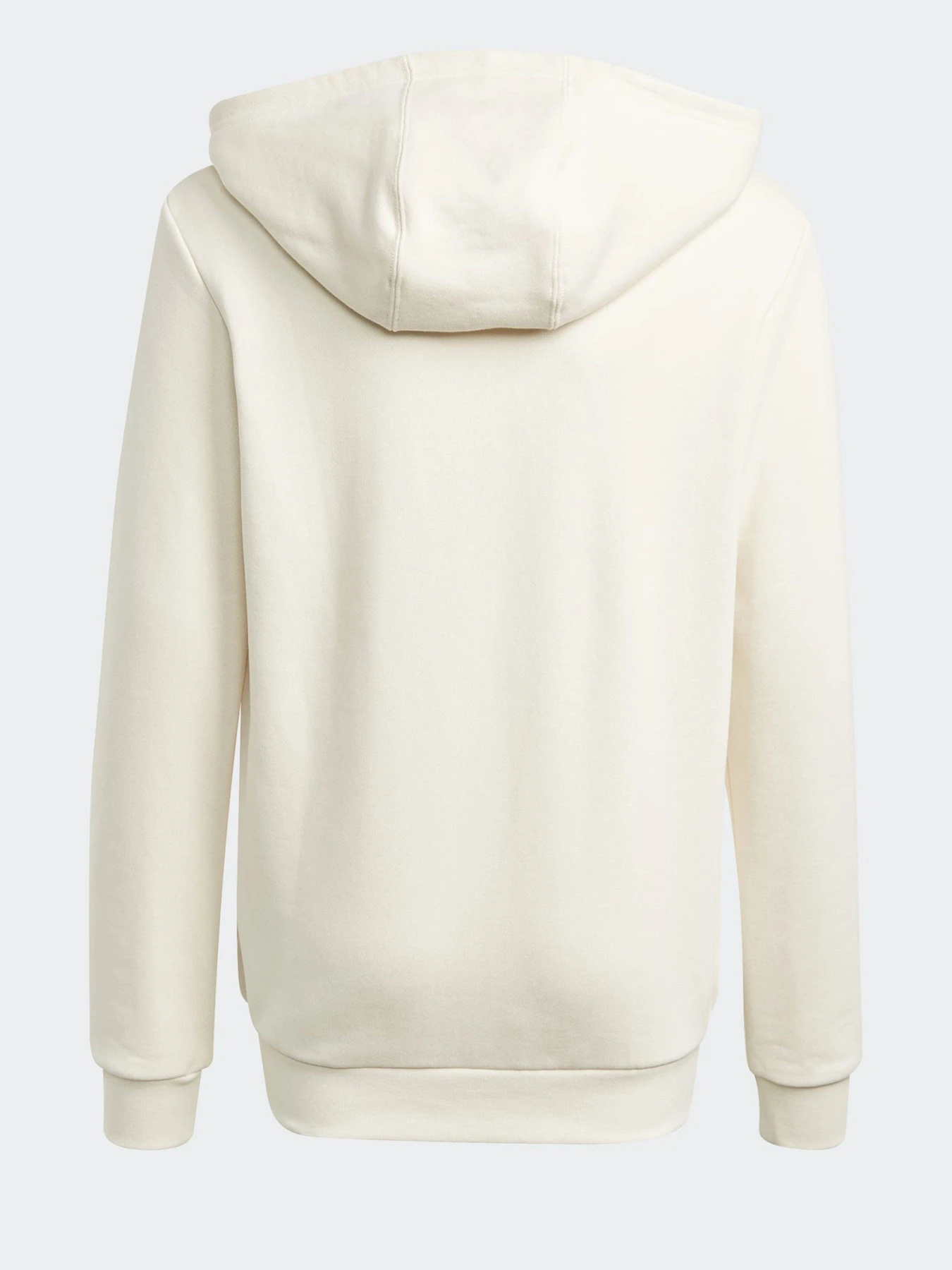 Худи и свитшоты Adidas GRAPHIC NON-DYE модель GN4202 Фото