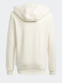 Худи и свитшоты Adidas GRAPHIC NON-DYE модель GN4202 Фото
