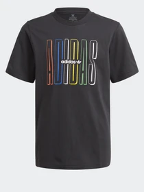 Футболки і поло Adidas GRAPHIC LOGO PRINT модель GN7405 Фото