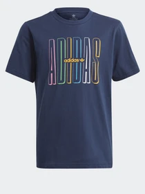 Футболки і поло Adidas GRAPHIC LOGO PRINT модель GN7406 Фото