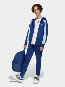 Рюкзаки Adidas CLSC BARS BP 27,5 L модель IS7049 Фото
