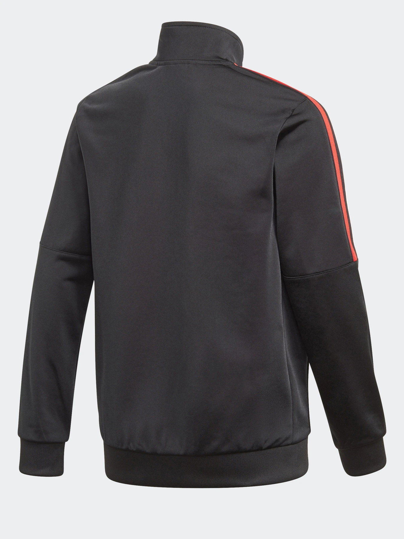 Худі та світшоти Adidas ADICOLOR модель GN7482 Худі та світшоти Adidas ADICOLOR модель GN7482 Фото