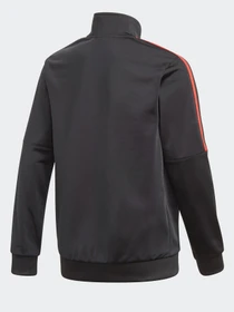 Худі та світшоти Adidas ADICOLOR модель GN7482 Фото