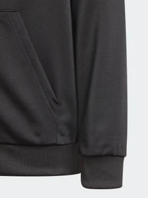 Худі та світшоти Adidas ADICOLOR модель GN7482 Фото