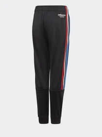 Брюки Adidas ADICOLOR модель GN7485 Фото