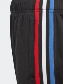 Брюки Adidas ADICOLOR модель GN7485 Фото