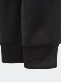 Брюки Adidas ADICOLOR модель GN7485 Фото