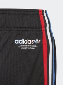 Брюки Adidas ADICOLOR модель GN7485 Фото
