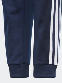 Брюки Adidas Adicolor SST Originals модель GN8454 Фото