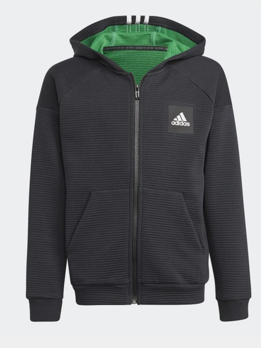 Худи и свитшоты Adidas Stadium Full-Zip модель GJ6670 Фото
