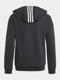 Худи и свитшоты Adidas Stadium Full-Zip модель GJ6670 Фото