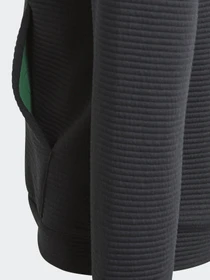 Худи и свитшоты Adidas Stadium Full-Zip модель GJ6670 Фото