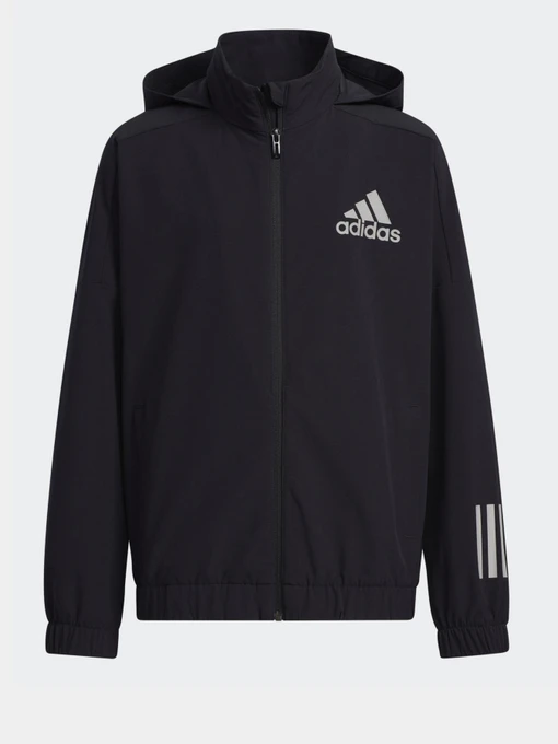 Худи и свитшоты Adidas Street Sportswear модель GP0735 Фото