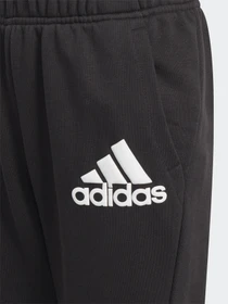 Брюки Adidas Badge of Sport Sportswear модель GJ6625 Фото