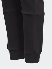 Брюки Adidas Badge of Sport Sportswear модель GJ6625 Фото
