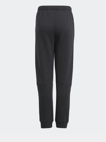 Брюки Adidas Stadium Sportswear модель GJ6664 Фото