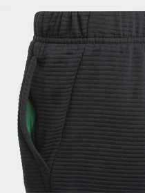 Брюки Adidas Stadium Sportswear модель GJ6664 Фото