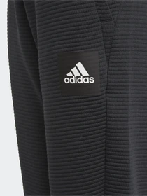 Брюки Adidas Stadium Sportswear модель GJ6664 Фото
