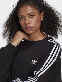 Худи и свитшоты Adidas LOUNGEWEAR ADICOLOR CLASSICS OVERSIZE модель GN2783 Фото