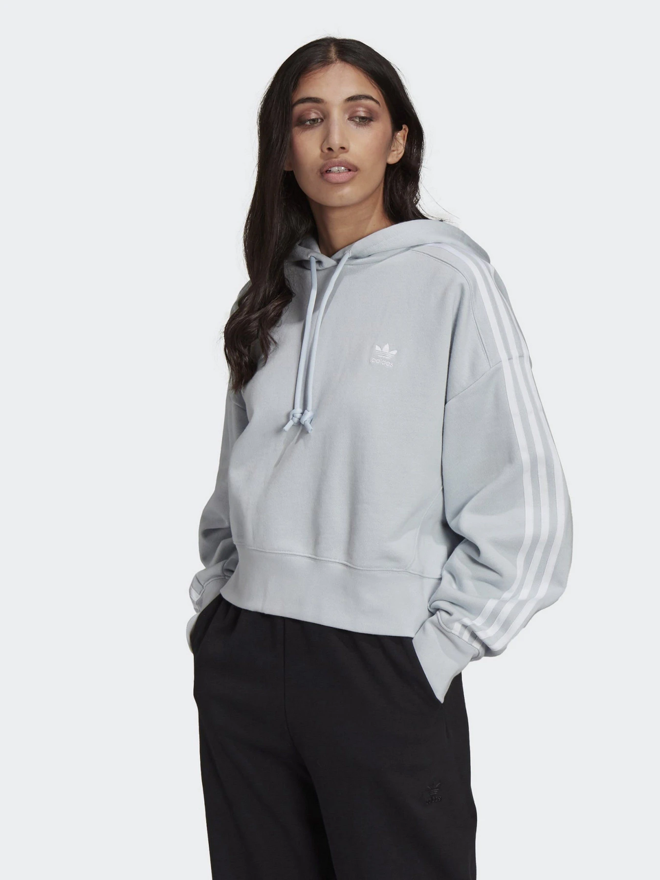 Худи и свитшоты Adidas ADICOLOR CLASSICS модель GN2893 Худи и свитшоты Adidas ADICOLOR CLASSICS модель GN2893 Фото