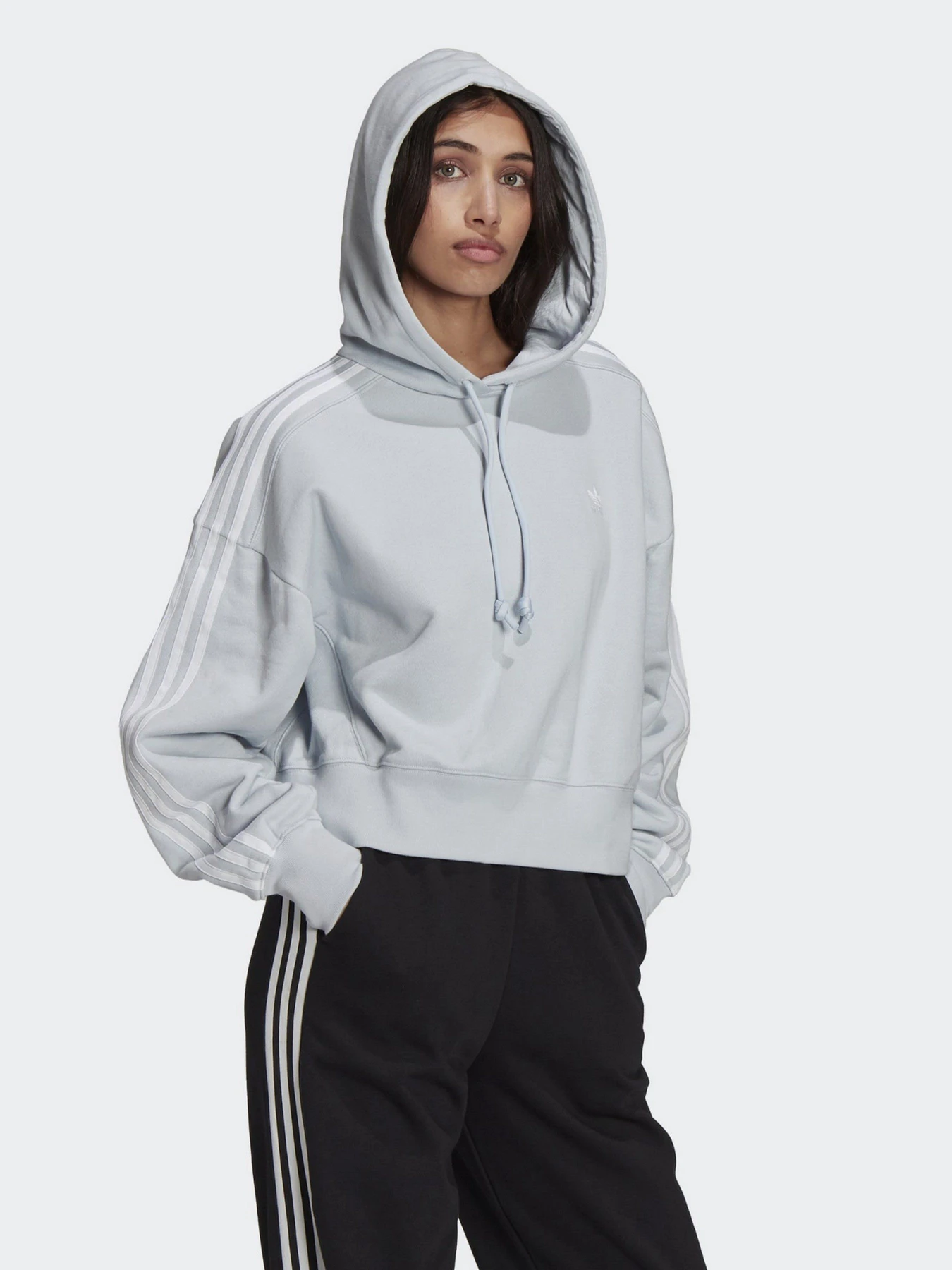 Худи и свитшоты Adidas ADICOLOR CLASSICS модель GN2893 Худи и свитшоты Adidas ADICOLOR CLASSICS модель GN2893 Фото