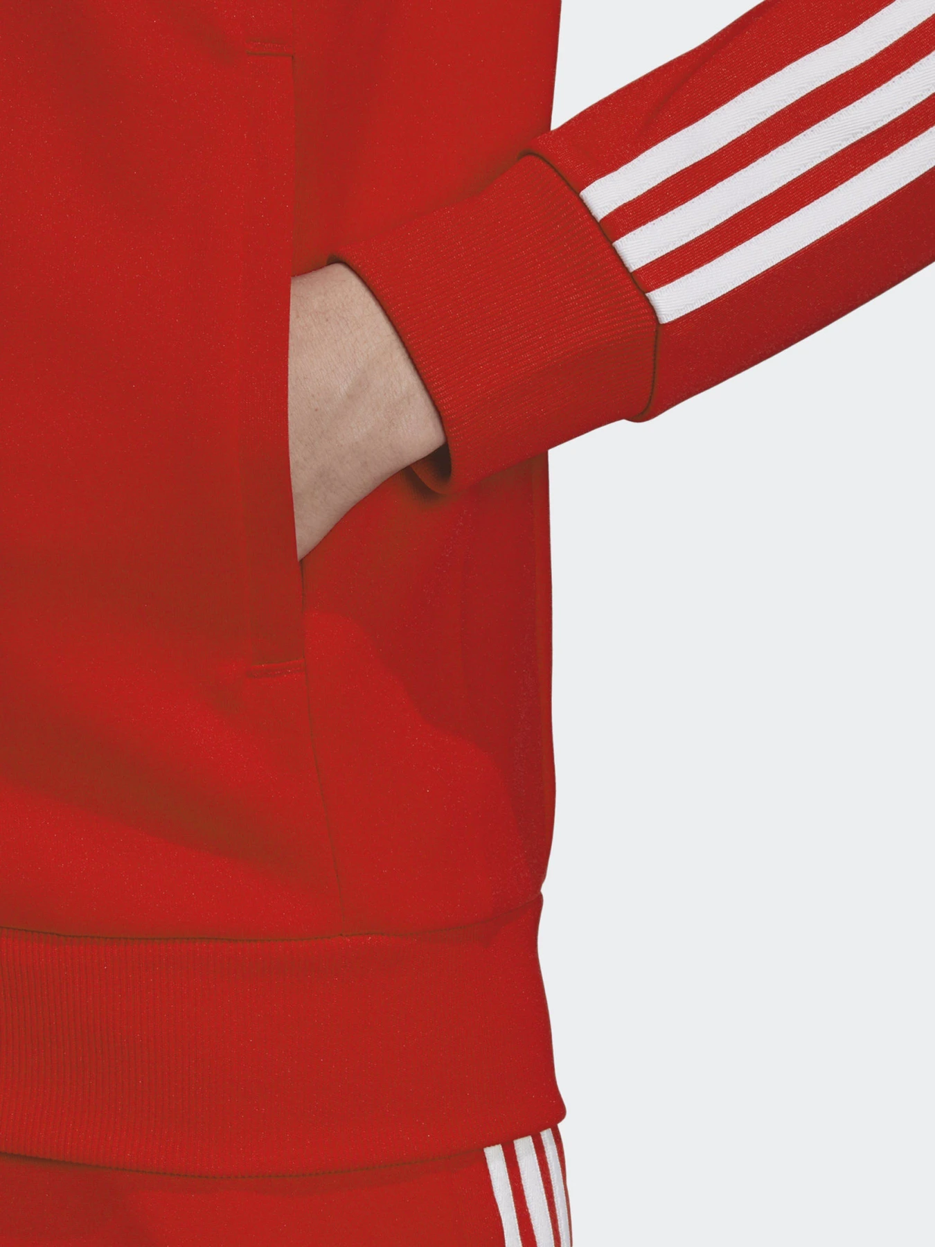 Худи и свитшоты Adidas ADICOLOR CLASSICS PRIMEBLUE SST модель GF0196 Худи и свитшоты Adidas ADICOLOR CLASSICS PRIMEBLUE SST модель GF0196 Фото