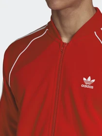 Худи и свитшоты Adidas ADICOLOR CLASSICS PRIMEBLUE SST модель GF0196 Фото