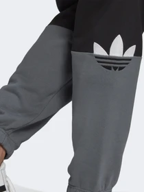 Брюки Adidas ADICOLOR SLICED TREFOIL SWEAT модель GN3445 Фото