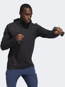 Худи и свитшоты Adidas 3-STRIPES AEROREADY PRIMEBLUE модель GM1808 Фото