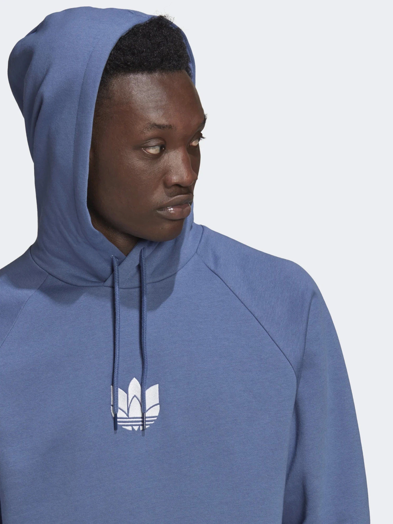 Худи и свитшоты Adidas ADICOLOR 3D TREFOIL GRAPHIC модель GN3553 Фото