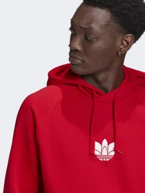 Худи и свитшоты Adidas ADICOLOR 3D TREFOIL GRAPHIC модель GN3554 Фото