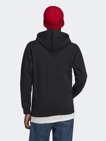 Худи и свитшоты Adidas ADICOLOR 3D TREFOIL GRAPHIC модель GN3555 Фото