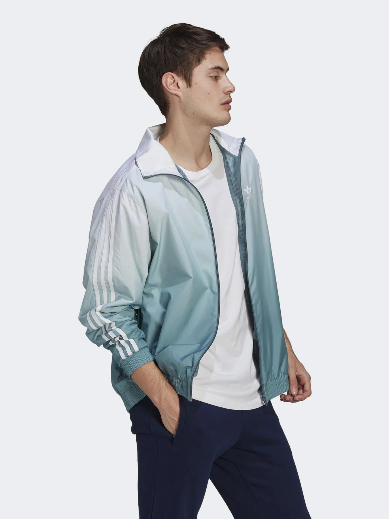 Худи и свитшоты Adidas ADICOLOR 3D TREFOIL OMBRÉ модель GN3589 Фото